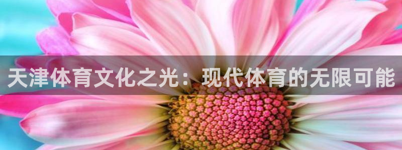 64体育：天津体育文化之光：现代体育的无限可能