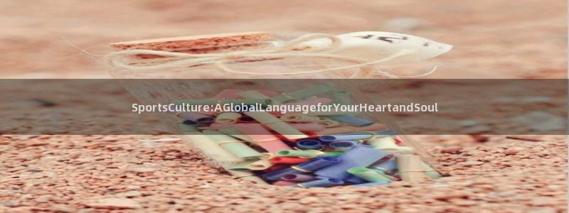 64体育：SportsCulture:AGlobalLanguageforYourHeartandSoul