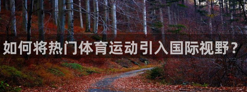 关键词：如何将热门体育运动引入国际视野？
