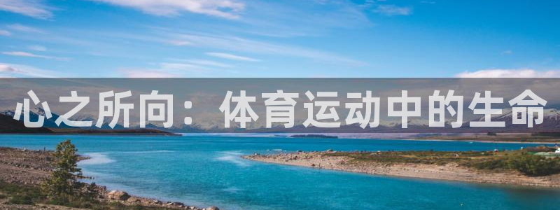关键词：心之所向：体育运动中的生命