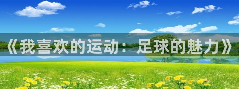关键词：《我喜欢的运动：足球的魅力》
